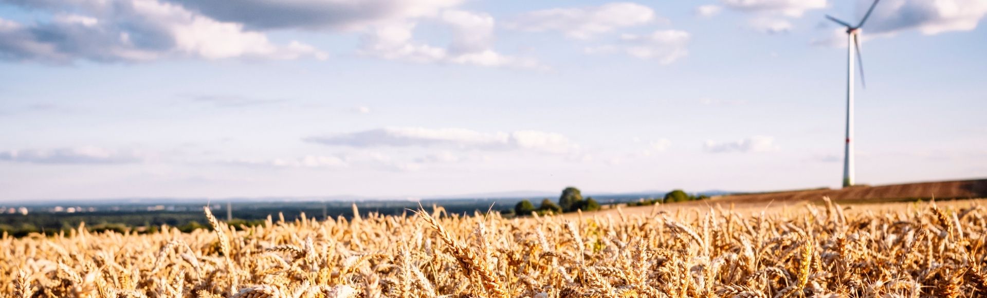 Backoffice Sales & Marketing Medewerker